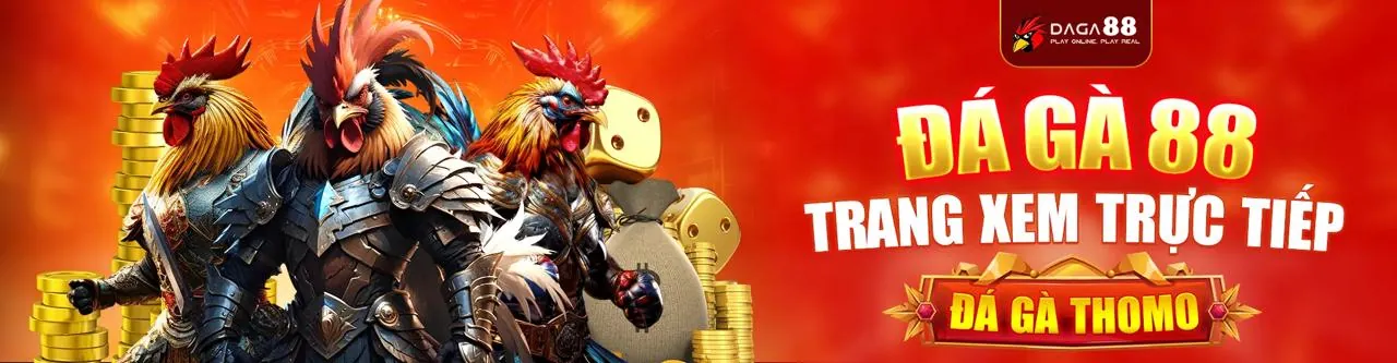 Sân đấu đá gà trực tuyến sôi động tại bi888 Đá Gà, chuẩn bị cho trận đấu phân tích chuyên sâu